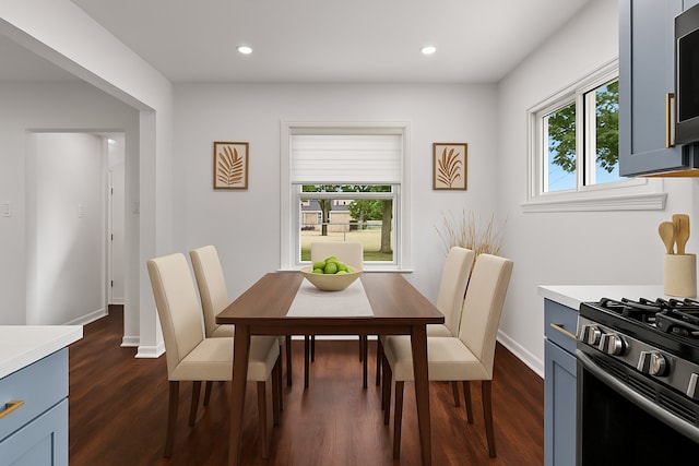 dining room featuring dark wood-type flooring, healthy amount of natural light, baseboards, and recessed lighting