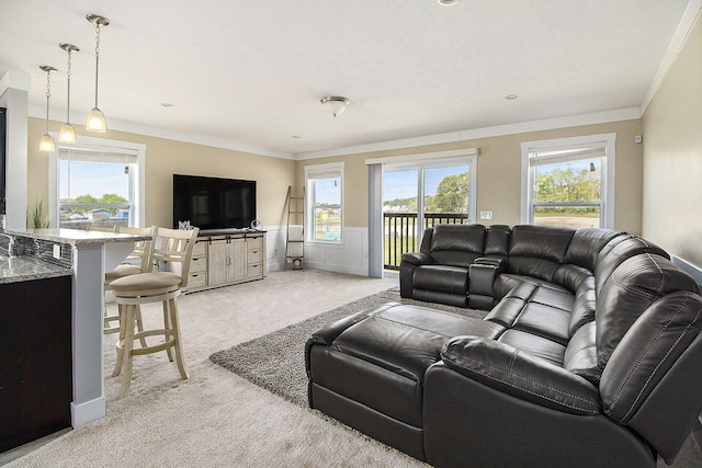 living room featuring light colored carpet and crown molding