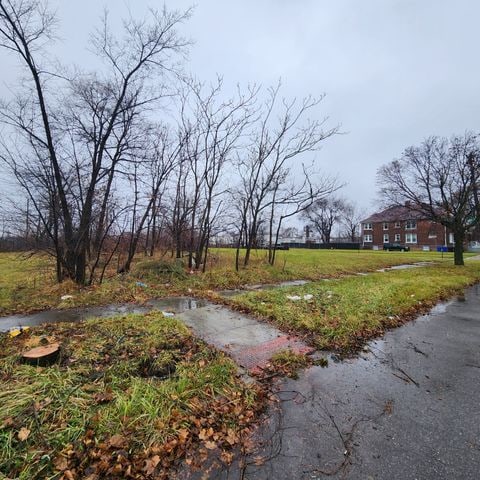 2125 Putnam St, Detroit, MI 48208