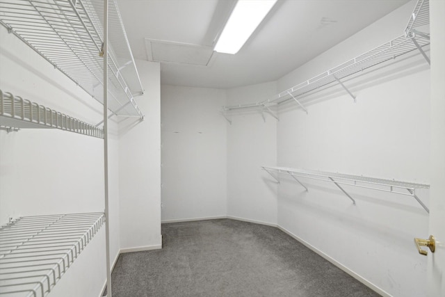 3239 Bellflower Ct, Ann Arbor, MI 48103 - spacious closet with carpet floors and attic access
