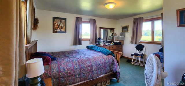 9656 Birch Run Rd, Millington, MI 48746 - photo 26