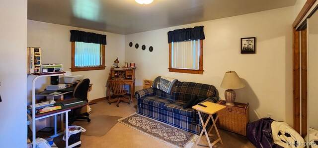 9656 Birch Run Rd, Millington, MI 48746 - photo 30