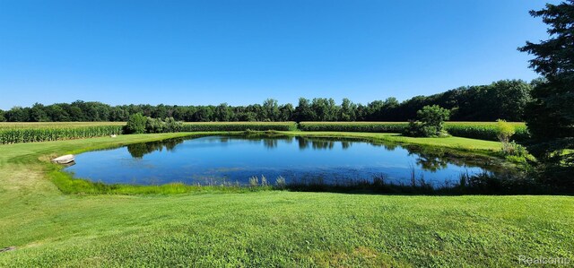 9656 Birch Run Rd, Millington, MI 48746 - photo 43