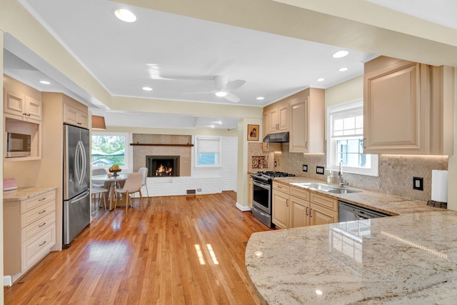 950 W Lincoln St, Birmingham, MI 48009 - kitchen with stainless steel appliances, a sink, plenty of natural light, ceiling fan, and crown molding
