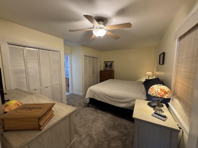 11619 Scott Park Rd, Delton, MI 49046 - carpeted bedroom with two closets and a ceiling fan