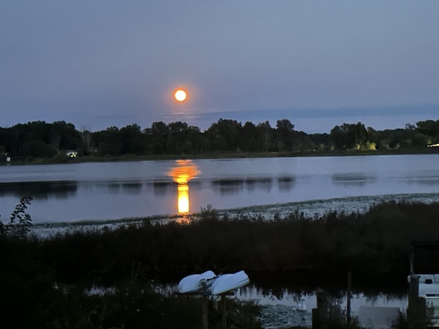 11619 Scott Park Rd, Delton, MI 49046 - water view with a forest