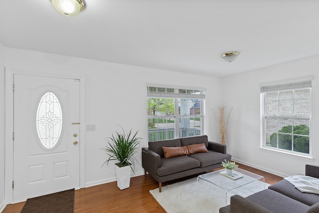 14190 Elmhurst Dr, Sterling Heights, MI 48313 - living room featuring plenty of natural light, wood finished floors, and baseboards