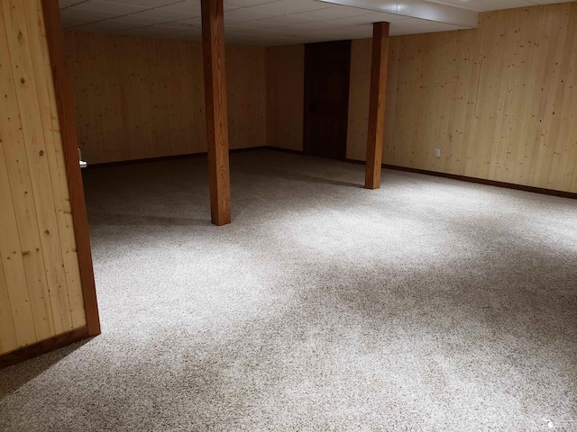 5015 Piehl Rd, Ottawa Lake, MI 49267 - finished below grade area with carpet flooring and wooden walls