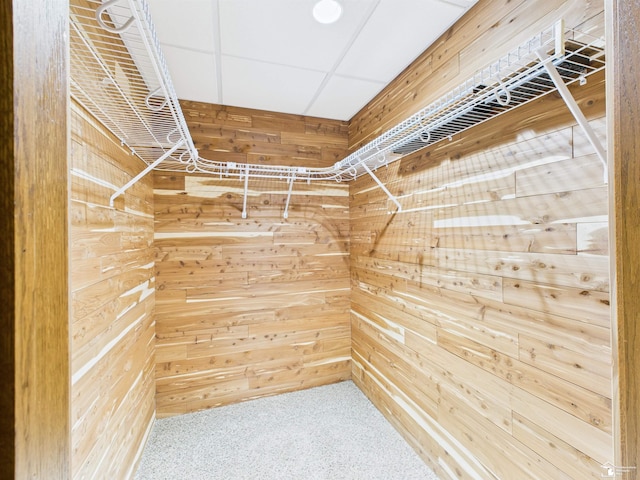 5015 Piehl Rd, Ottawa Lake, MI 49267 - view of spacious closet