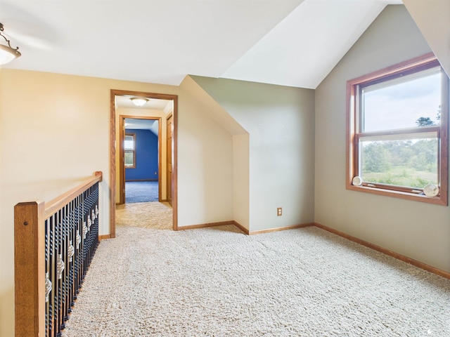 5015 Piehl Rd, Ottawa Lake, MI 49267 - bonus room with carpet floors and vaulted ceiling