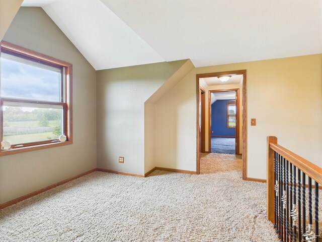 5015 Piehl Rd, Ottawa Lake, MI 49267 - bonus room featuring carpet floors and lofted ceiling