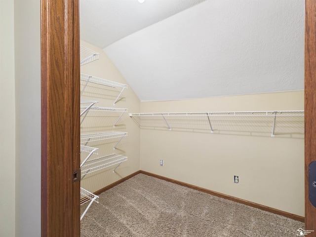 5015 Piehl Rd, Ottawa Lake, MI 49267 - spacious closet featuring carpet floors and lofted ceiling