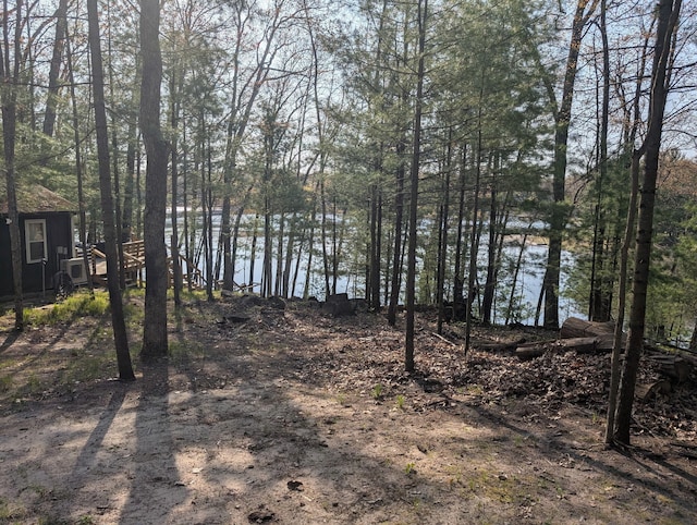 9600 S Oxeye, Baldwin, MI 49304 - view of yard featuring an outdoor structure