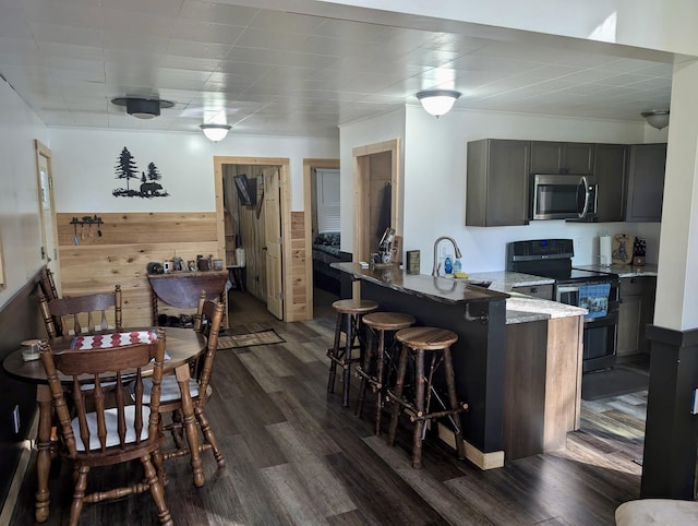 9600 S Oxeye, Baldwin, MI 49304 - kitchen featuring appliances with stainless steel finishes, dark wood-type flooring, light stone countertops, a kitchen bar, and a peninsula