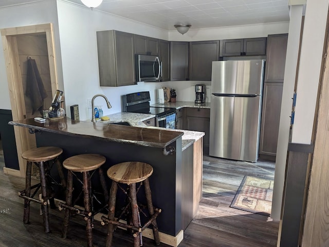 9600 S Oxeye, Baldwin, MI 49304 - kitchen featuring stainless steel appliances, a sink, a peninsula, light stone counters, and dark wood finished floors