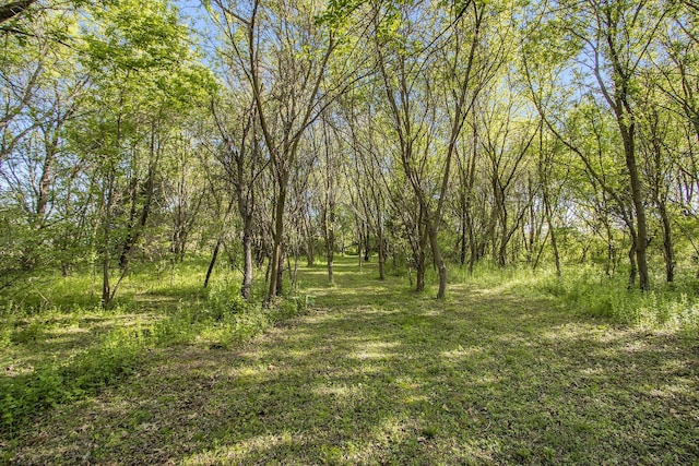 115 E X Y Ave, Vicksburg, MI 49097 - view of tree filled area