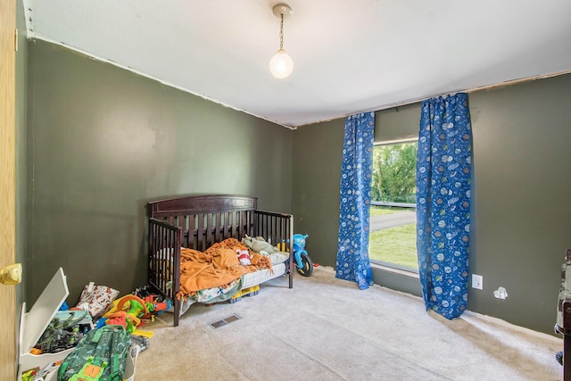 115 E X Y Ave, Vicksburg, MI 49097 - view of carpeted bedroom