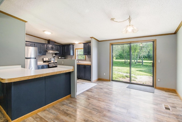 115 E X Y Ave, Vicksburg, MI 49097 - kitchen with stainless steel appliances, crown molding, a textured ceiling, light countertops, and light wood-style floors