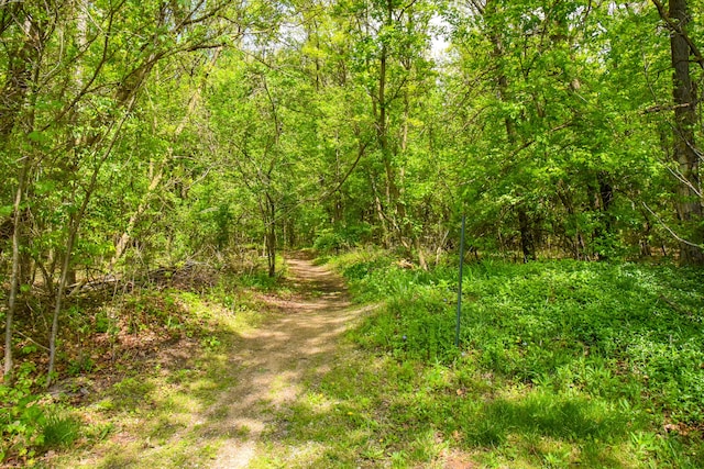 0 Michael St, Ortonville, MI 48462