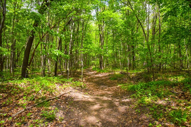 0 Michael St, Ortonville, MI 48462