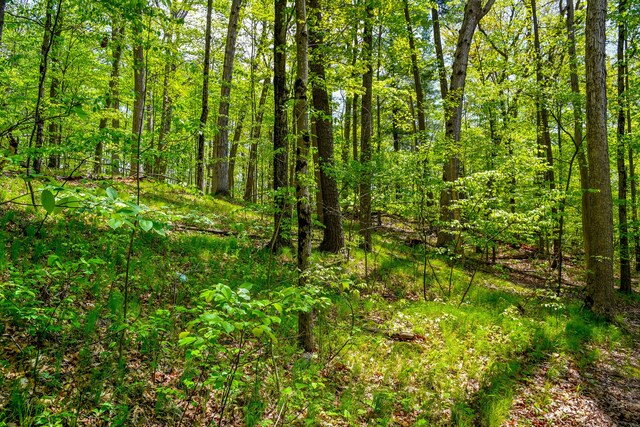 0 Michael St, Ortonville, MI 48462