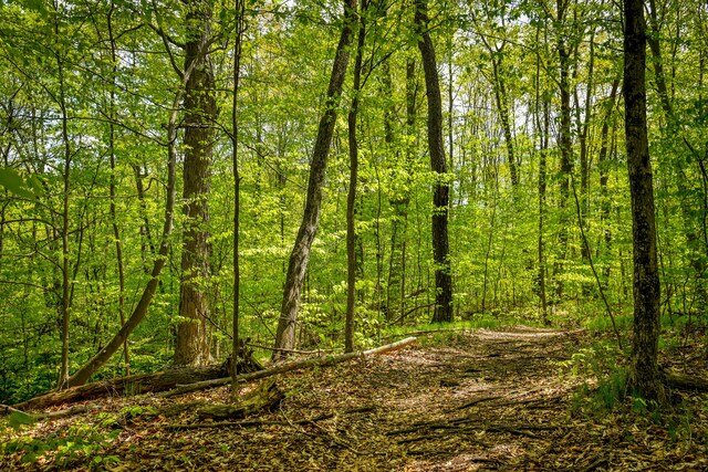 0 Michael St, Ortonville, MI 48462