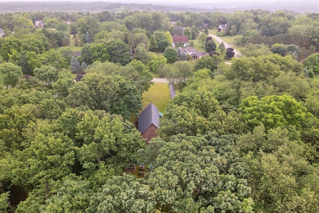 1213 Pine Ridge Rd, Milford, MI 48380 - photo 72