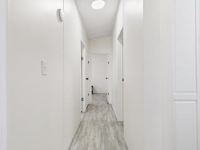 2906 Frankfort Hwy, Frankfort, MI 49635 - hall with light wood-style floors