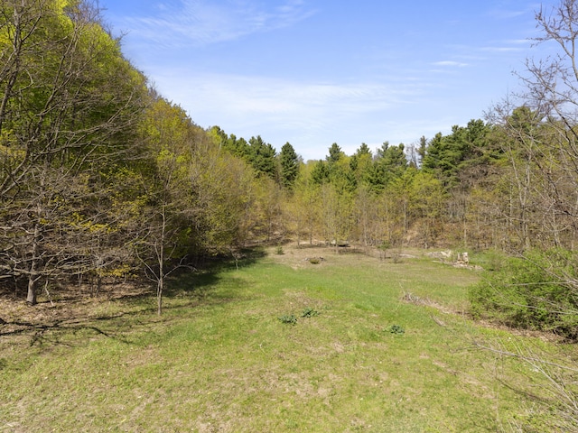 2906 Frankfort Hwy, Frankfort, MI 49635 - view of tree filled area
