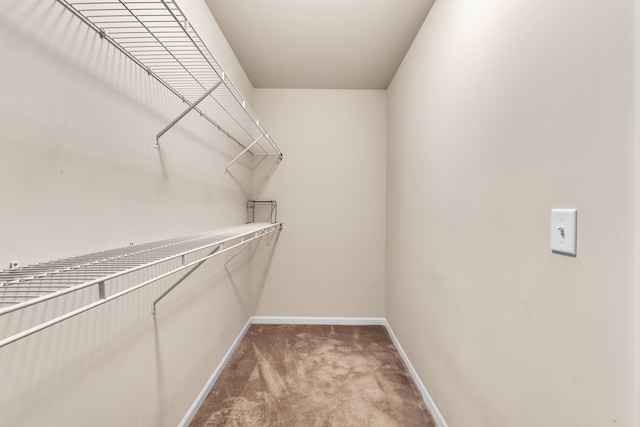 25340 Villagewood, South Lyon, MI 48178 - walk in closet featuring light colored carpet