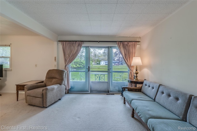 631 Lindsay St, West Branch, MI 48661 - view of carpeted living area