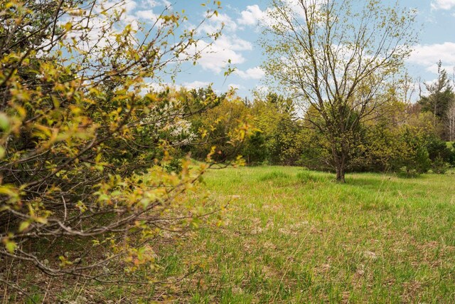 00 W County Line Rd, Thompsonville, MI 49683