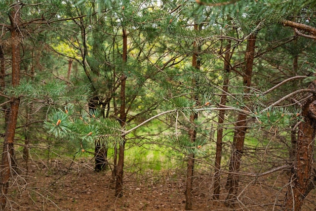 00 W County Line Rd, Thompsonville, MI 49683