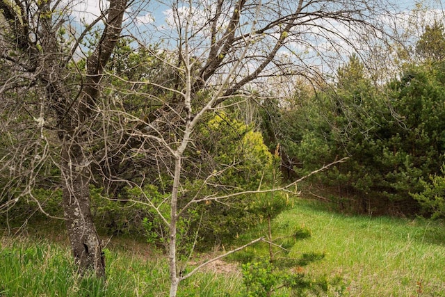 00 W County Line Rd, Thompsonville, MI 49683