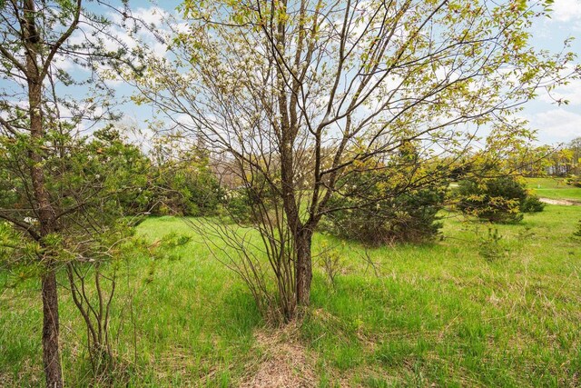 00 W County Line Rd, Thompsonville, MI 49683