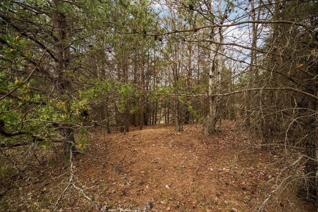 00 W County Line Rd, Thompsonville, MI 49683
