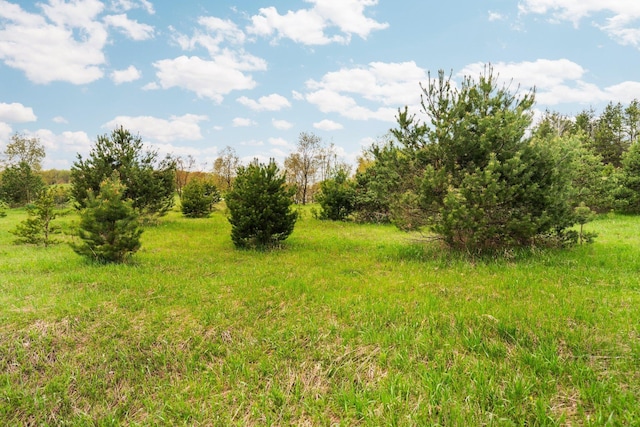 00 W County Line Rd, Thompsonville, MI 49683