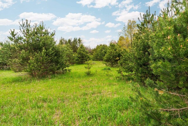 00 W County Line Rd, Thompsonville, MI 49683