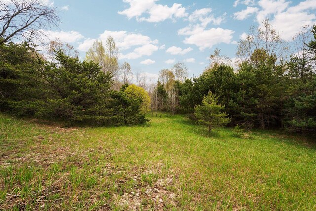 00 W County Line Rd, Thompsonville, MI 49683