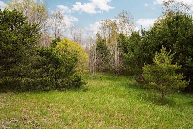 00 W County Line Rd, Thompsonville, MI 49683