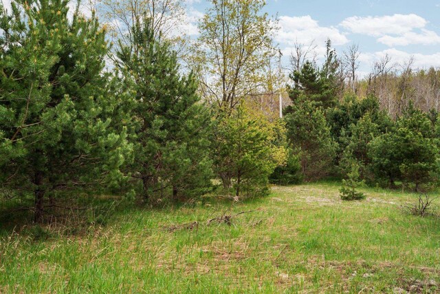 00 W County Line Rd, Thompsonville, MI 49683