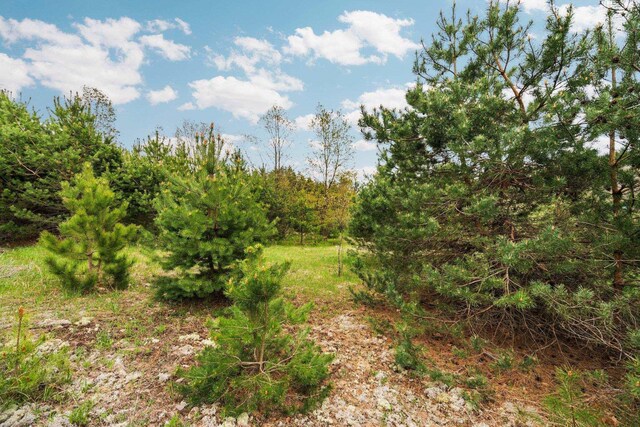 00 W County Line Rd, Thompsonville, MI 49683