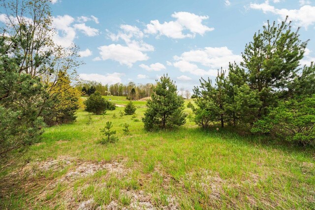 00 W County Line Rd, Thompsonville, MI 49683