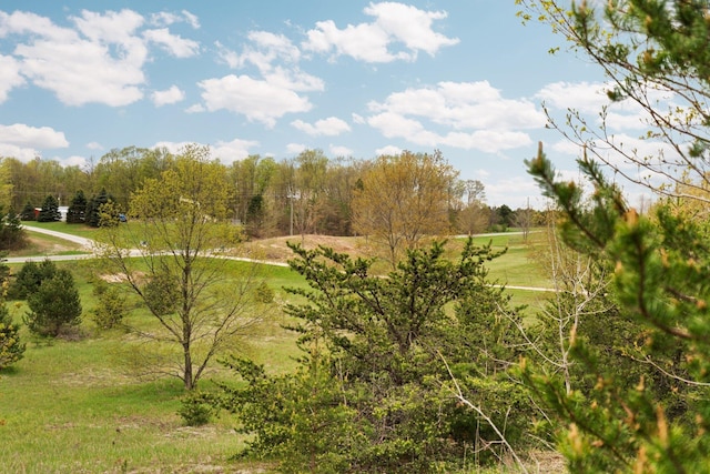 00 W County Line Rd, Thompsonville, MI 49683