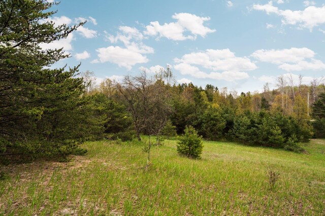 00 W County Line Rd, Thompsonville, MI 49683