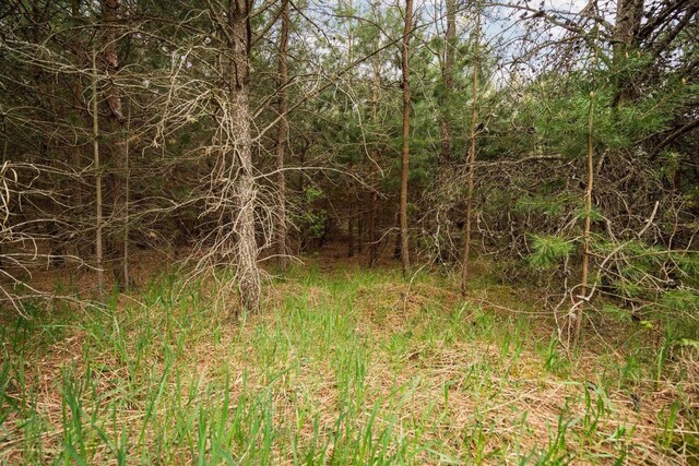 00 W County Line Rd, Thompsonville, MI 49683