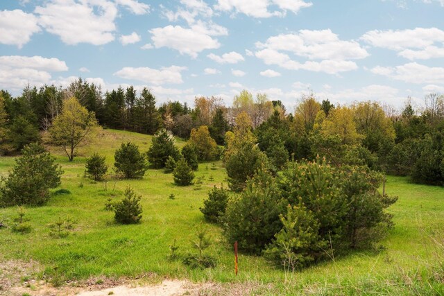00 W County Line Rd, Thompsonville, MI 49683
