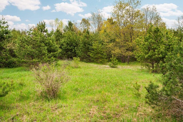 00 W County Line Rd, Thompsonville, MI 49683
