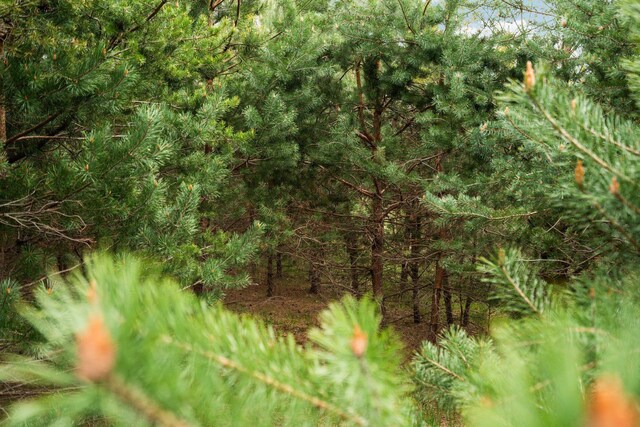 00 W County Line Rd, Thompsonville, MI 49683
