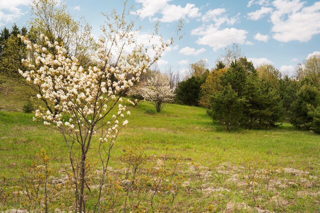 00 W County Line Rd, Thompsonville, MI 49683